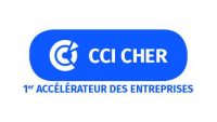 logo cci du Cher