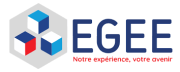 Logo EGEE