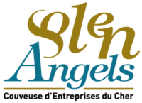 Logo Solen Angels structure partenaire
